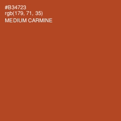 #B34723 - Medium Carmine Color Image
